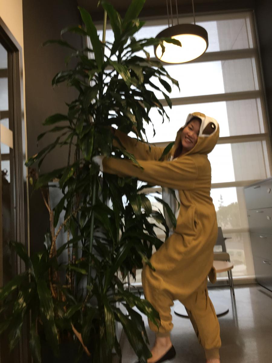 SE Halloween 2017