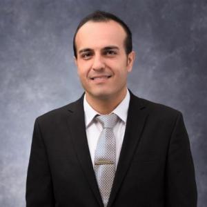 Amir H. Alavi